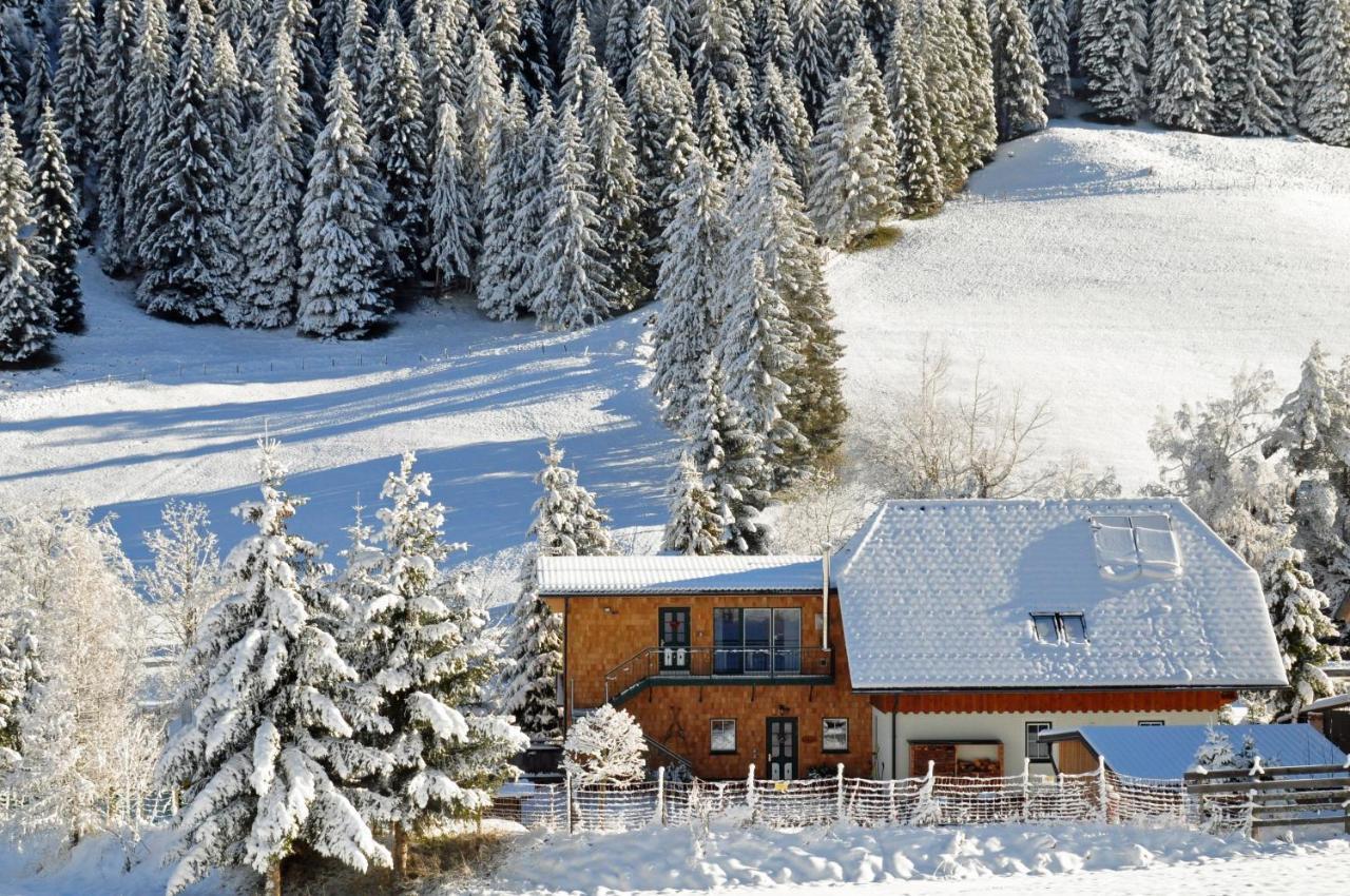 Landhaus Riesneralm Donnersbachwald Dış mekan fotoğraf